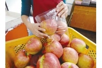 ◎WEB予約でリボンポイント3ポイント◎【岡崎発】*日帰り昼食付*『南信州 年の瀬詰め詰め大作戦!!』2